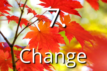 Become a OneNote Ninja to Master your Projects - 7 Change