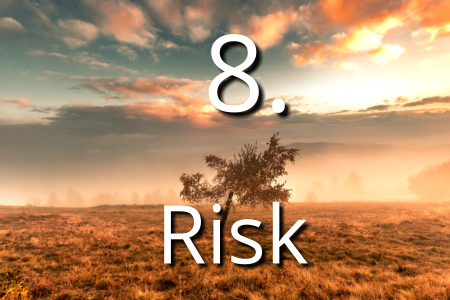 Become a OneNote Ninja to Master your Projects - 8 Risk