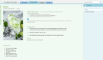 Mega Bundle for OneNote